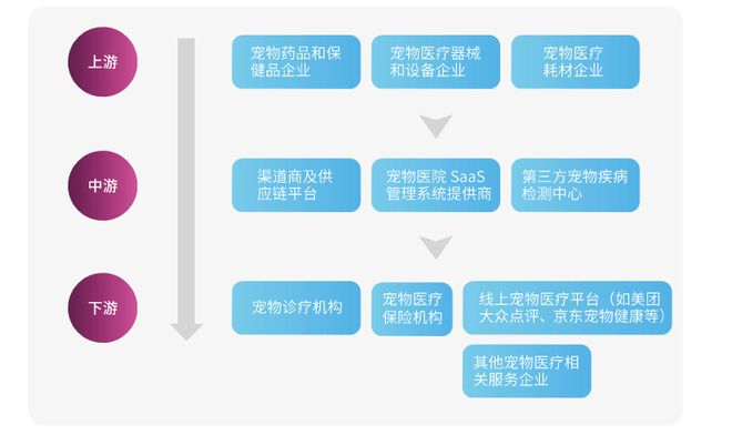中獸醫(yī)如何撬動百億消費醫(yī)療市場 獸醫(yī)器具的創(chuàng)新與機(jī)遇