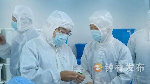 周軍帶隊赴南昌、上海開展精準招商考察 聚焦產(chǎn)業(yè)升級與項目合作